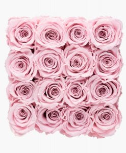 ivoryi-friends-ivoryiflowerbox-infinity-large-blush-rose-top-grace