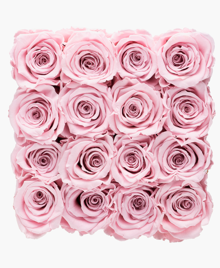 ivoryi-friends-ivoryiflowerbox-infinity-large-blush-rose-top-grace
