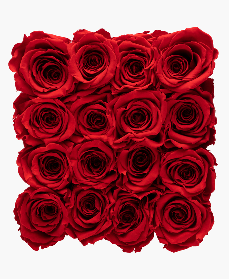 ivoryi-friends-ivoryiflowerbox-infinity-large-romantic-red-top-grace