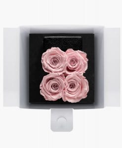 ivoryi-friends-ivoryiflowerbox-infintiy-flowerbox-fifth-avenue-edition-small-blush-rose-top-grace