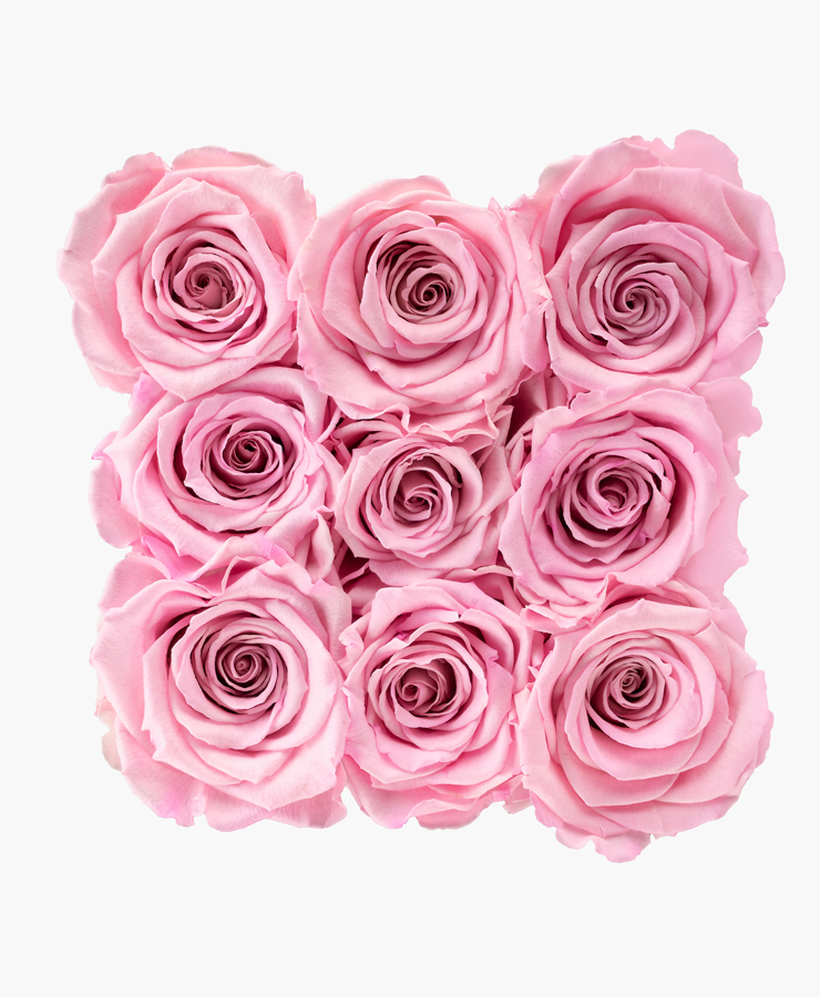 ivoryi-friends-ivoryiflowerbox-infintiy-medium-blush-rose-top-grace