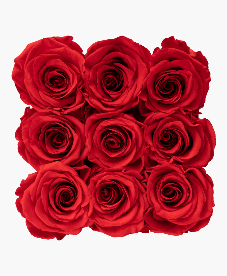 ivoryi-friends-ivoryiflowerbox-infintiy-medium-romantic-red-top-grace