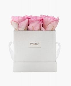 ivoryi-friends-ivoryiflowerbox-infintiy-miami-vibes-edition-medium-blush-rose-front-grace