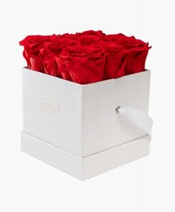 ivoryi-friends-ivoryiflowerbox-infintiy-miami-vibes-edition-medium-romantic-red-side-grace