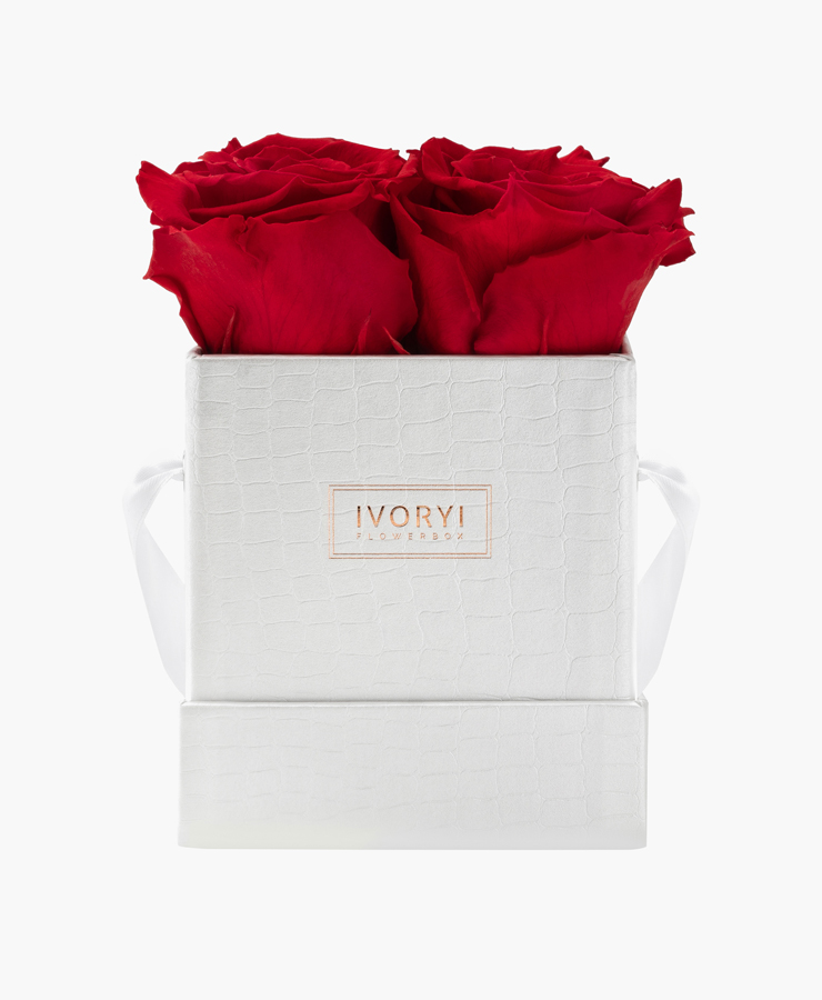 ivoryi-friends-ivoryiflowerbox-infintiy-miami-vibes-edition-romantic-red-front-grace