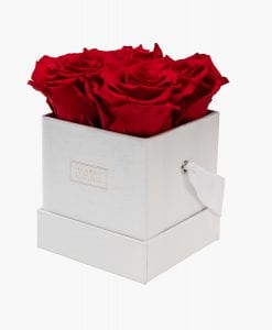 ivoryi-friends-ivoryiflowerbox-infintiy-miami-vibes-edition-romantic-red-side-grace