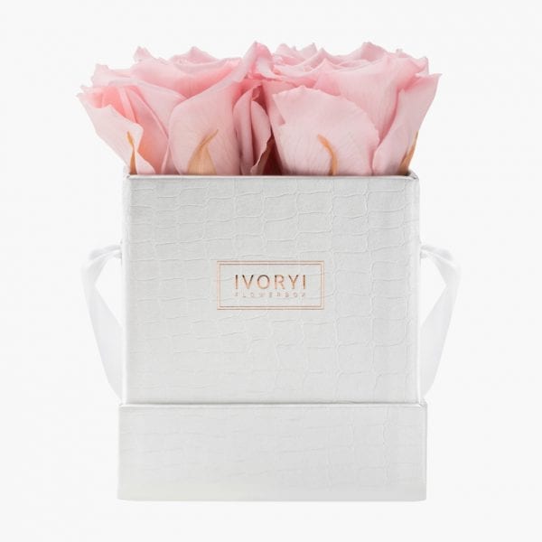 ivoryi-friends-ivoryiflowerbox-infintiy-miami-vibes-edition-small-blush-rose-front-grace