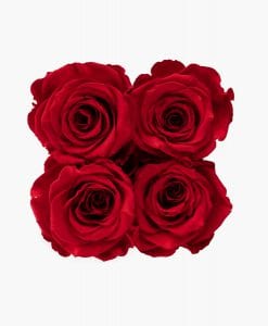 ivoryi-friends-ivoryiflowerbox-infintiy-romantic-red-top-grace